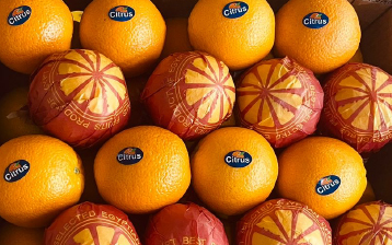 Valencia Oranges